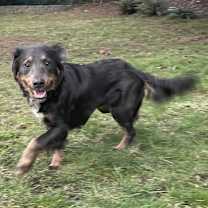 Thumbnail photo of Darby #3