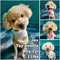 Thumbnail photo of Jax from Korea #1