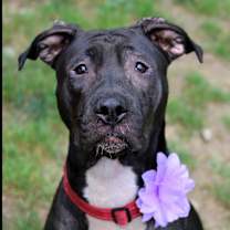 Thumbnail photo of Monica #2