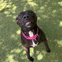 Thumbnail photo of Ryka #3