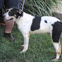 Thumbnail photo of Chip #3