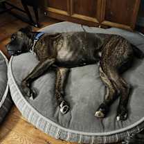 Thumbnail photo of Riggs #4