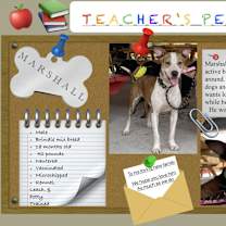 Thumbnail photo of Marshall #3