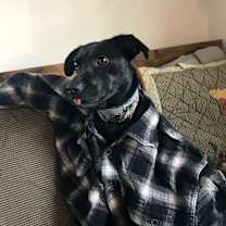 Thumbnail photo of Luna #1