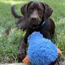 Thumbnail photo of Tate #1