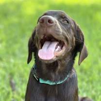 Thumbnail photo of Tate #2