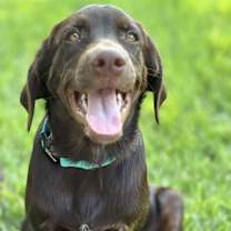 Thumbnail photo of Tate #3