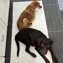 Thumbnail photo of Tate #4