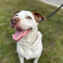 Thumbnail photo of Tank #2