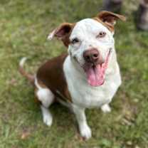 Thumbnail photo of Tank #3