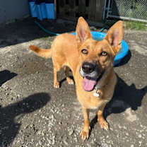 Thumbnail photo of Rona #4