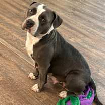 Thumbnail photo of Maci #3