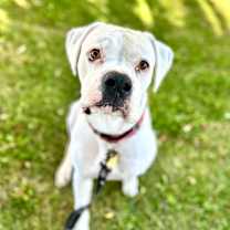 Thumbnail photo of GRAYSON #1