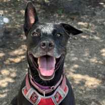 Thumbnail photo of Geoffry #1