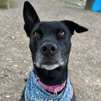 Thumbnail photo of Geoffry #3