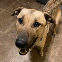 Thumbnail photo of Quincy #2