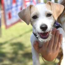 Thumbnail photo of Yogi #2