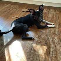 Thumbnail photo of Ruth #1