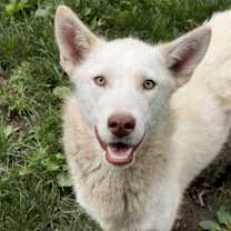 Thumbnail photo of Lily #2