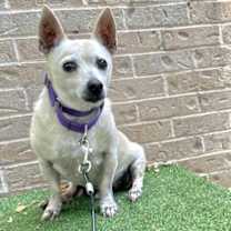 Thumbnail photo of Guinness #1