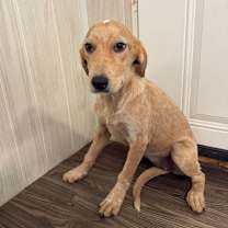 Thumbnail photo of Zana #1