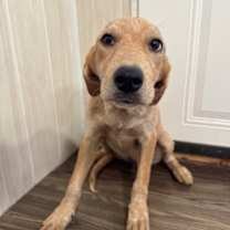 Thumbnail photo of Zana #2