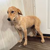 Thumbnail photo of Zana #3