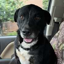 Thumbnail photo of Nike #1