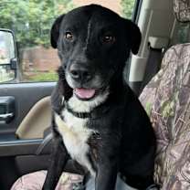 Thumbnail photo of Nike #2