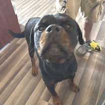 Thumbnail photo of Drax JuM #2