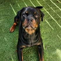 Thumbnail photo of Drax JuM #3