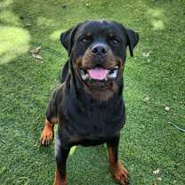 Thumbnail photo of Drax JuM #4