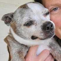 Thumbnail photo of BabyGirl #1