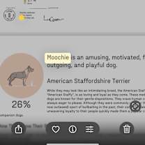 Thumbnail photo of Moochie #4