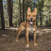 Thumbnail photo of Blooper #2