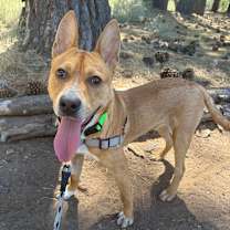 Thumbnail photo of Blooper #3