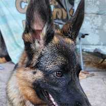 Thumbnail photo of Malia #1