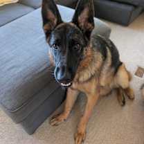 Thumbnail photo of Malia #2