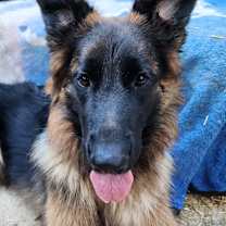 Thumbnail photo of Kaia #1