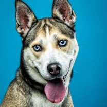 Thumbnail photo of Jada #1