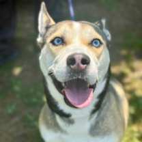 Thumbnail photo of Jada #2