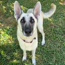 Thumbnail photo of Cleo #1