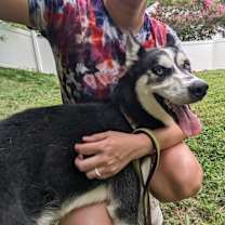 Thumbnail photo of V “Venus” #1