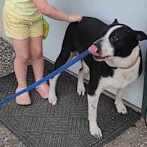 Thumbnail photo of Madden #4