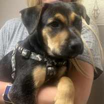 Thumbnail photo of Bessie #2