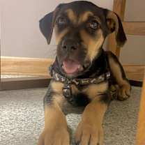 Thumbnail photo of Bessie #3