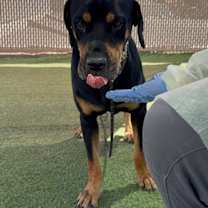 Thumbnail photo of Mila #3