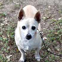 Thumbnail photo of Guinness #2