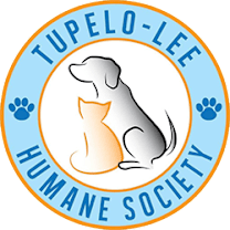 Thumbnail photo of Dax- 052308T #2