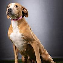 Thumbnail photo of Ava #4